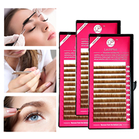 Extensions de sourcils individuelles LashPlus, logo personnalisé, vente en gros, brun foncé, 5 mm à 8 mm, plateau d'extensions de sourcils