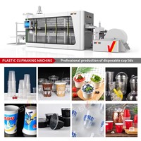 Machine de fabrication de gobelets, de plats et de bols en plastique jetables entièrement automatique Sivite Machinery, machine de thermoformage de pots de fleurs en plastique