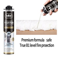 Mousse polyuréthane populaire T1 pour toutes saisons, remplissage complet de tuyaux et murs, 750 ml