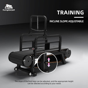 Caminadora para Mascotas de Aluminio Resistente - Máquina de Ejercicio Impermeable para Perros, Diseño y Tamaño Personalizados, MOQ Bajo (Precio de Fábrica) - Product Image 5