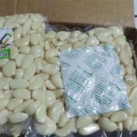 Sac sous vide 1KG, gousse d'ail fraîche pelée