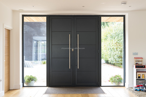 Design moderno del portone di sicurezza dell'entrata dell'acciaio inossidabile ha finito la progettazione del portone anteriore dell'alluminio per la caratteristica impermeabile della Villa di casa - Product Image 6