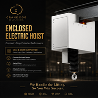 Palans électriques à chaîne anti-poussière de type rail pour équipement de levage en salle blanche