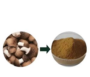 Nhà cung cấp khô nấm <span class=keywords><strong>Shiitake</strong></span> bột nguyên polysaccharides 10%-50% 10:1 tự nhiên 20:1 nấm <span class=keywords><strong>Shiitake</strong></span> nấm chiết xuất - Product Image 5