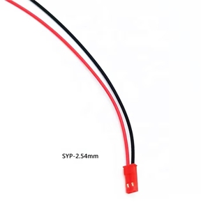 2 Pin JST cắm nối Pitch 2.54mm nam cắm nối cáp dây 10cm 15cm 22-28 AWG cho DIY RC đồ chơi pin mô hình LED Đèn - Product Image 2