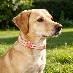 Collier <span class=keywords><strong>anti</strong></span>-moustiques de luxe réglable pour chien avec répulsif naturel pour une utilisation quotidienne en extérieur - Product Image 5
