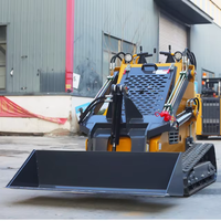 Mini-chargeuse compacte sur chenilles équipée d'un moteur diesel Euro5 EPA de Chine, avec pompe hydraulique et roulement, pour usage agricole et de jardinage