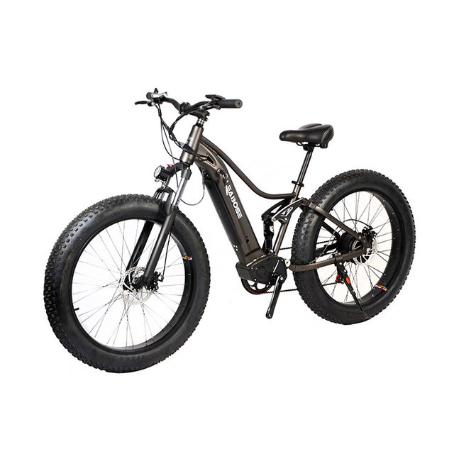 Shenzhen Cheap Modern 750w 1000w E Bike Ebike Motor Dirt Mountain Fat Tire Bicycle Electric Bike