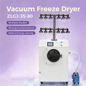 Lyophilisateur de laboratoire sous vide -80°C ℃   4L/S 4Kg/24h 220V/110V ZLGJ-35-80 Bouteille à large ouverture avec support en forme de T et <span class=keywords><strong>pompe</strong></span> à vide - Product Image 4