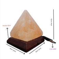 Lampe au sel de l'Himalaya en cristal naturel Lampe USB rose/blanche colorée écologique Base en bois Animal sculpté Décoration de Noël