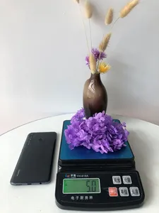 Flores de Hortensia Secas de Alta Calidad para Decoración de Bodas, <span class=keywords><strong>Hortensias</strong></span> Preservadas - Product Image 6