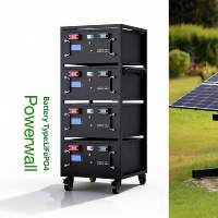 Batterie LiFePO4 51,2 V 314 Ah 16 kWh à cycle profond 8000 cycles, montage en rack, stockage d'énergie pour système solaire hybride