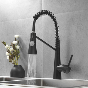 Black Brass 2 Way Water Outlet Kitchen Single Handle Pull <b>Down</b> Spring Kitchen Tap AT8834B Black Adds Modern Elegance to Y - Product Image 1