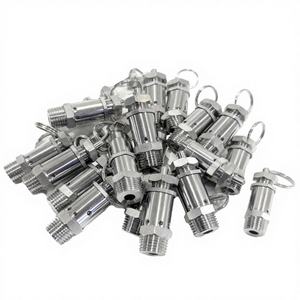 Válvula de Ventilación y Alivio de Presión Manual de Acero Inoxidable Sanitario 304 con Conexión NPT de 1/4'' - Product Image 2