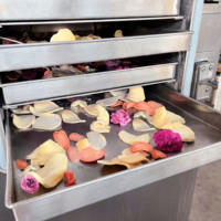 Qd Hot Selling Vriesdrogen Lyofilisator Machine Industriële Groenten En Fruit Vacuüm Vriesdroger Prijs