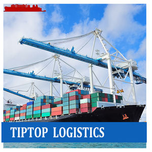 ผู้เชี่ยวชาญด้านการขนส่งสินค้าทางทะเลแบบ LCL Express จากจีนไปเนเธอร์แลนด์ สเปน อิตาลี พร้อมบริการตัวแทนจัดส่ง - Product Image 5