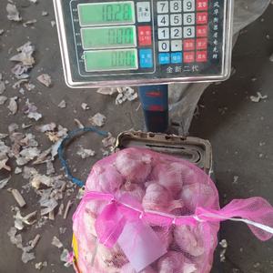 2025, la cantidad al por mayor más vendida, suministro de verduras, <span class=keywords><strong>ajo</strong></span> rojo fresco nutritivo natural del fabricante de origen egipcio - Product Image 6