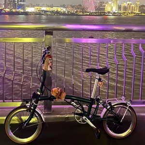 Xe đạp gấp nhẹ CityBike 9 tốc độ, xe đạp ngoài trời unisex, xe đạp BMX nam nữ, xe đạp di chuyển trong thành phố Vomo C5 gấp ba lần - Product Image 6