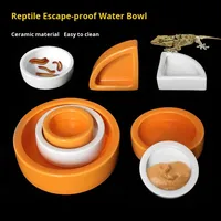 Petit bol à eau en céramique pour reptiles amphibiens prévention des évasions alimentation gecko dragon barbu ver à pain fabriqué pour les petits