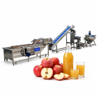 Turnkey fruitverwerkingslijn, geconcentreerde sap productiefabriek, fruitwas-, sterilisatie- en afvulunit
