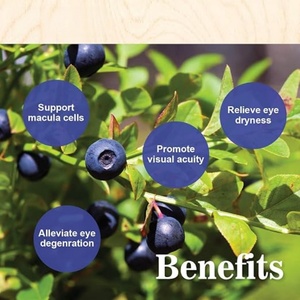 Suplemento Dietético de Arándanos, Eyebright y Luteína Gold de Marca Privada OEM, Fórmula Personalizada, Empaque Personalizado para el Apoyo a la Salud <span class=keywords><strong>Ocular</strong></span> - Product Image 4