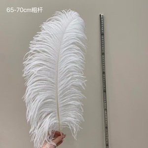 <span class=keywords><strong>Piume</strong></span> <span class=keywords><strong>di</strong></span> struzzo grandi all'ingrosso per centrotavola <span class=keywords><strong>di</strong></span> matrimoni, decorazioni per tavoli, <span class=keywords><strong>piume</strong></span> <span class=keywords><strong>di</strong></span> struzzo <span class=keywords><strong>bianche</strong></span> naturali sfuse - Product Image 6