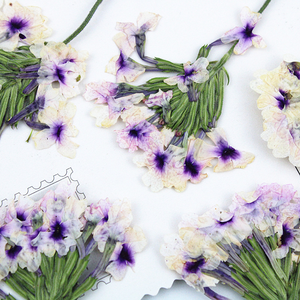 Tiges de verbena séchées longue durée avec fleurs pressées pour moules <span class=keywords><strong>en</strong></span> résine, décoration intérieure et cadeaux de la Fête des Mères - Product Image 1