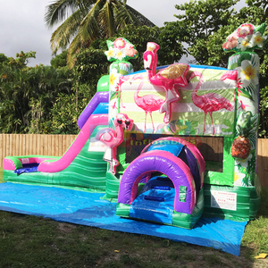 Castillo hinchable kids outdoor moonwalk jump bouncy castle <b>inflatable</b> flamingo bounce <b>house</b> and water slide - Product Image 1