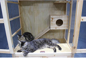 Villa moderne de luxe extra large en bois massif <span class=keywords><strong>pour</strong></span> chats, niche intérieure et extérieure <span class=keywords><strong>pour</strong></span> animaux de compagnie avec fermeture à bouton, nid <span class=keywords><strong>pour</strong></span> chiens et chats - Product Image 5