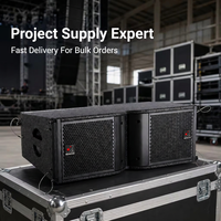 Speaker Line Array NEARSTAR 500W Dua Jalur 8 Ohm Kabinet Kayu Lapis untuk Acara Panggung