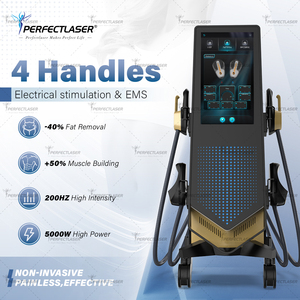 14 Mesin Stimulasi Otot Elektromagnetik Tesla EMS 4 Handle Perangkat Stimulasi Listrik RF EMS - Product Image 2