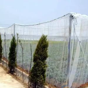 Voiles d'ombrage agricoles transparentes anti-insectes et anti-moustiques en PE/HDPE, résistantes aux UV et durables, pour serres - Vente chaude usine - Product Image 2