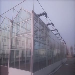 Invernadero agrícola de vidrio grande tipo Skyplant Venlo, ecológico para exposiciones de cría de semillas, restaurantes, vidrio de casa <span class=keywords><strong>verde</strong></span> - Product Image 2