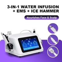 Appareil 3-en-1 d'infusion d'eau, EMS et marteau de glace pour le visage et le cuir chevelu – Instrument multi-effets pour l'infusion d'essences cutanées hydratantes