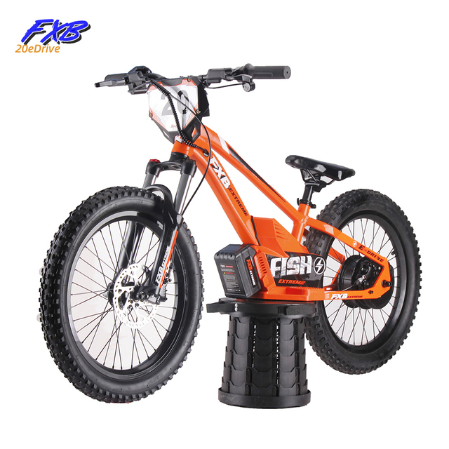 FXB 12" 16" or 20" Style 250W Hub Motor 36V 5.0AH Mimi Kids Cross Electric Balance Bike