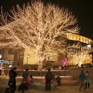 Iluminación impermeable al aire libre <span class=keywords><strong>48ft</strong></span> S14 LED <span class=keywords><strong>String</strong></span> <span class=keywords><strong>Lights</strong></span> Decorativo Boda Fiesta de Navidad Iluminación - Product Image 4