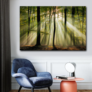 Lienzo Impreso en Oferta, Bosque Tranquilo con Hojas Iluminadas por el Sol, Hermoso Bosque, Fondo Natural, Escena Dinámica del Bosque - Product Image 5