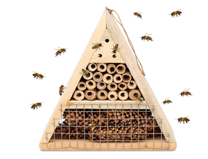 Holz Insekten Haus, Perfekte Home für Ladybirds und Lacewings, sowie Bienen - Product Image 4