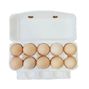 Customized Environment-friendly Egg Tray Carton with Cover Pulp Moulding 12 20 Eggs Carton/tray/box