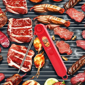 Medidor Digital Inalámbrico de Temperatura y Humedad para Barbacoa, Diseño Plegable de Plástico, Uso en Cocina, Termómetro para Carne - Product Image 3