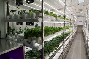 Sistema de Torre Vertical de Cultivo Hidropónico/Aeropónico para Vegetales Frescos Verdes en Contenedor de Granja de Fertirrigación - Product Image 4