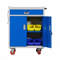 Coffre à outils à double porte avec serrures à clé, capacité de charge 300 kg, personnalisable OEM/ODM, garantie 3 ans - Garde les outils précieux en sécurité et organisés