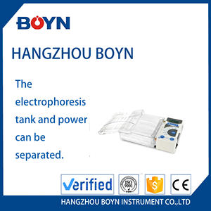 BN-MINIE-350 콤팩트 수평 젤 전기영동 시스템 핵산 분석용 - Product Image 4