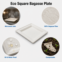 Assiette carrée jetable en bagasse de canne à sucre, compostable et biodégradable, compatible micro-ondes, pour buffet et restauration