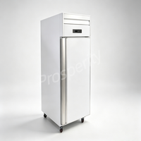 Refrigerador Comercial Vertical de Acero Inoxidable de Una Puerta, Enfriado por Aire, con Bandeja para Exhibición de Bandejas GN