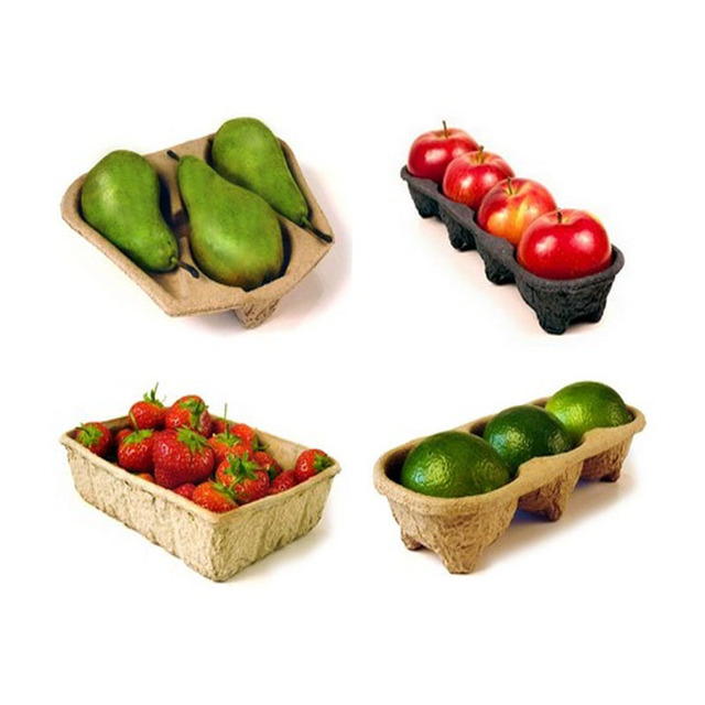 Top Quality 100% Eco-friendly Recyclable Biodegradable Protective Customized Molded Pulp Tray Packaging for Fruit Pulps Tray