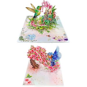 Hummingbird and Robin 3D Pop-Up 4 Color Greeting Card Mother's Day Gift <b>Paper</b> Die Cut Rectangle with <b>Gloss</b> Lamination - Product Image 1