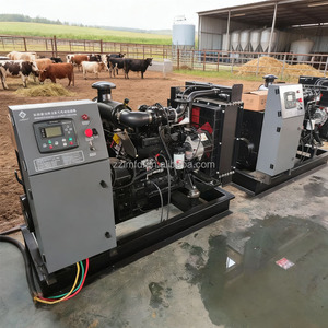 Generador Eléctrico Diésel Silencioso Chino de 10kva 12kva 15kva 20kva en Venta - Product Image 3