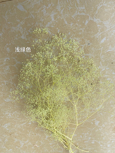 2020ขายร้อนดอกไม้ที่เก็บรักษาไว้Babysbreath Preserved<span class=keywords><strong>ล้าน</strong></span>Starสำหรับตกแต่งบ้าน - Product Image 5
