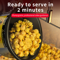 Equipo para Snacks de Bajo Precio: Máquina de Palomitas para Puestos de Mercado Nocturno, Máquina Rápida para Hacer Palomitas.
